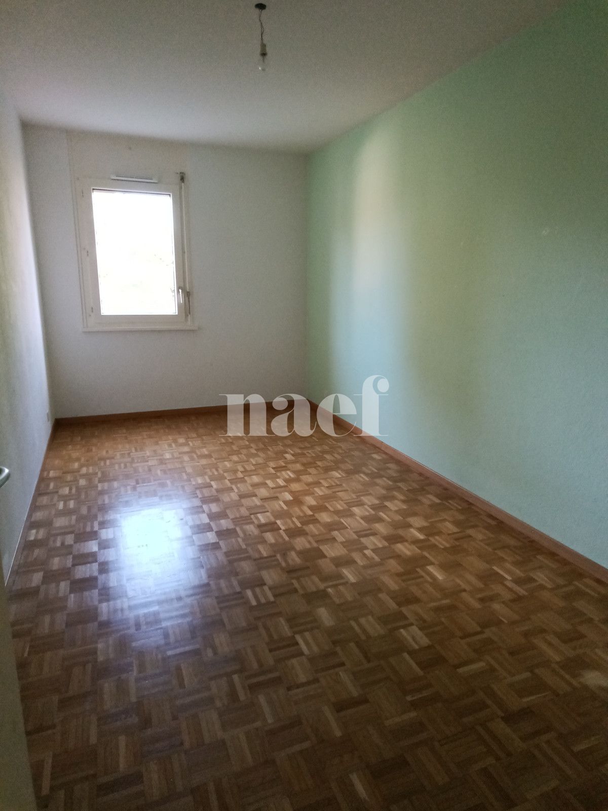 À louer : Appartement 5 Pieces Vernier - Ref : 210245.2023 | Naef Immobilier