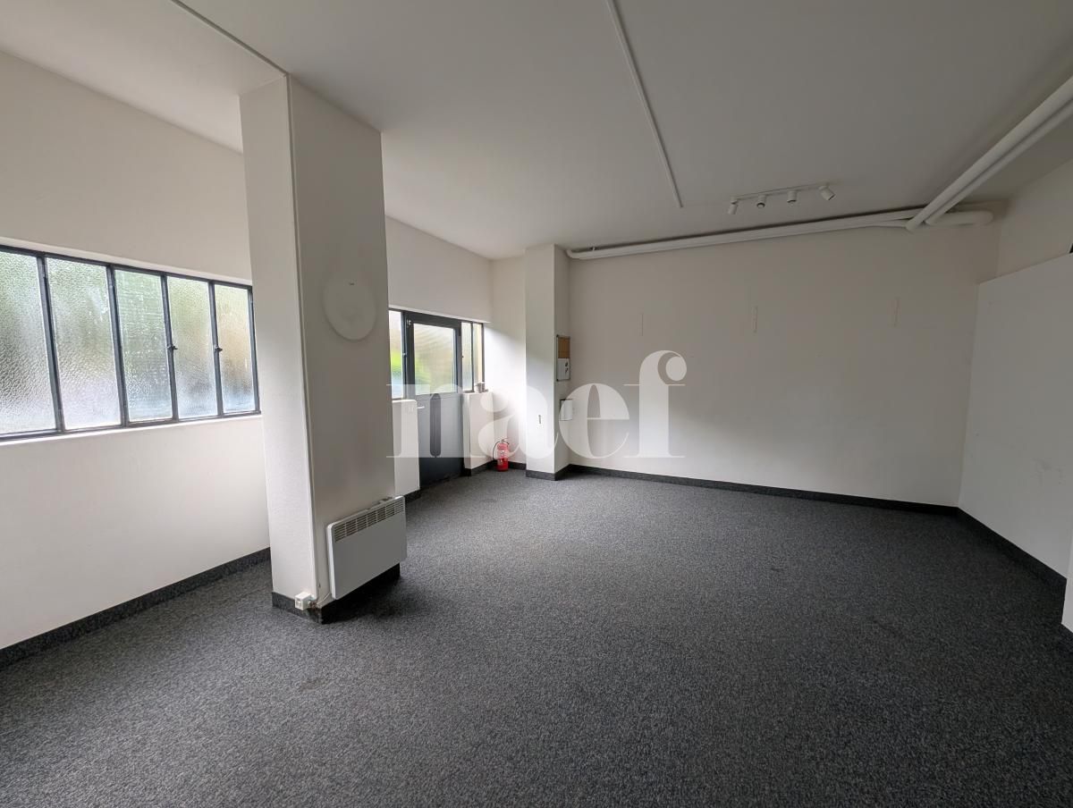 À louer : Surface Commerciale Atelier Genève - Ref : 210350.80001 | Naef Immobilier