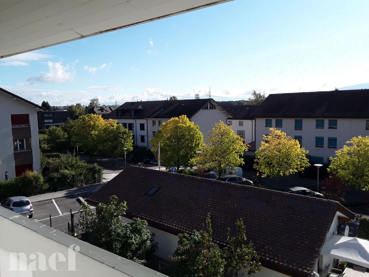À louer : Appartement 1 Pieces Satigny - Ref : 210382.2024 | Naef Immobilier