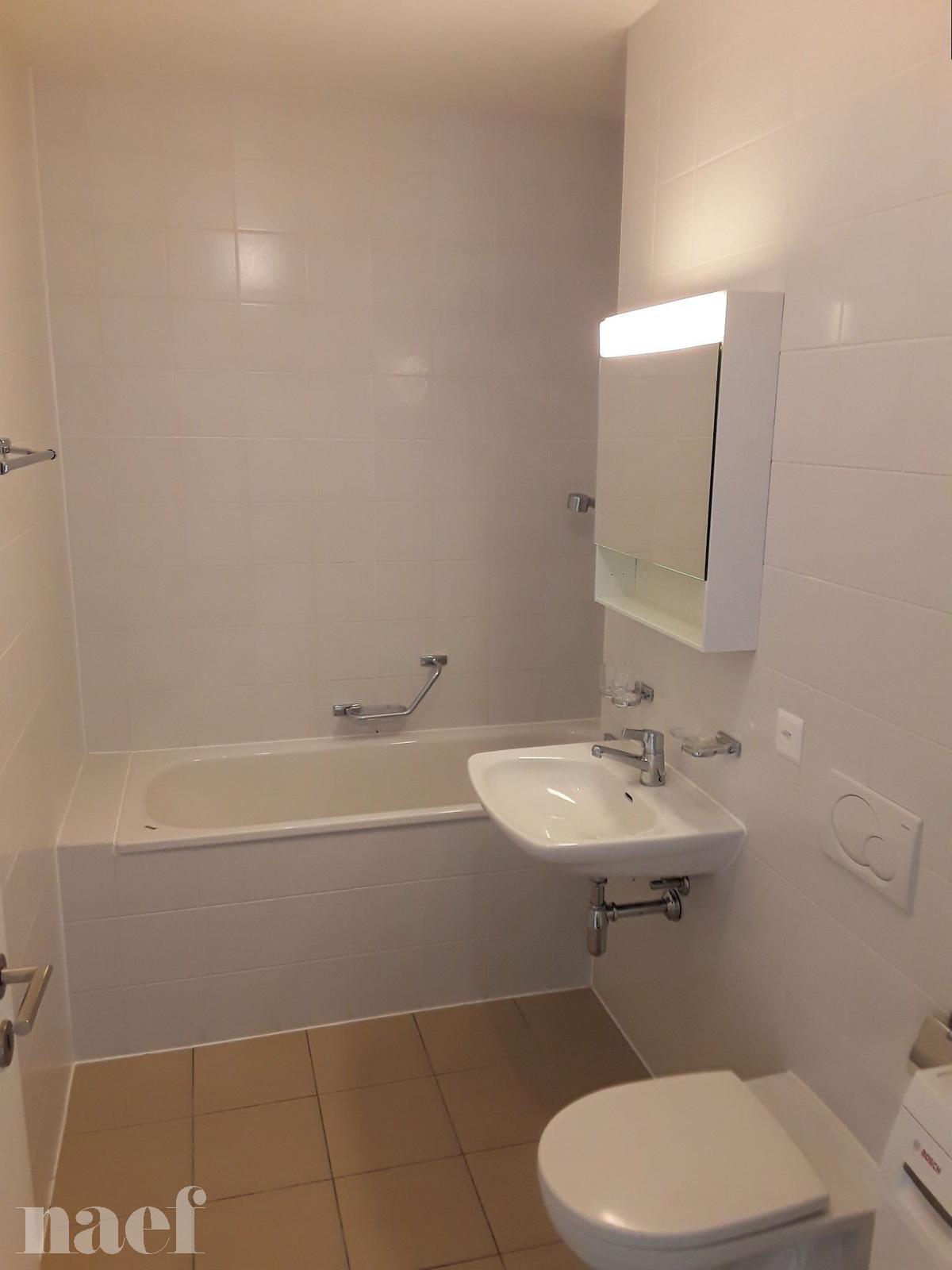 À louer : Appartement 5 Pieces Plan-les-Ouates - Ref : 210388.4601 | Naef Immobilier