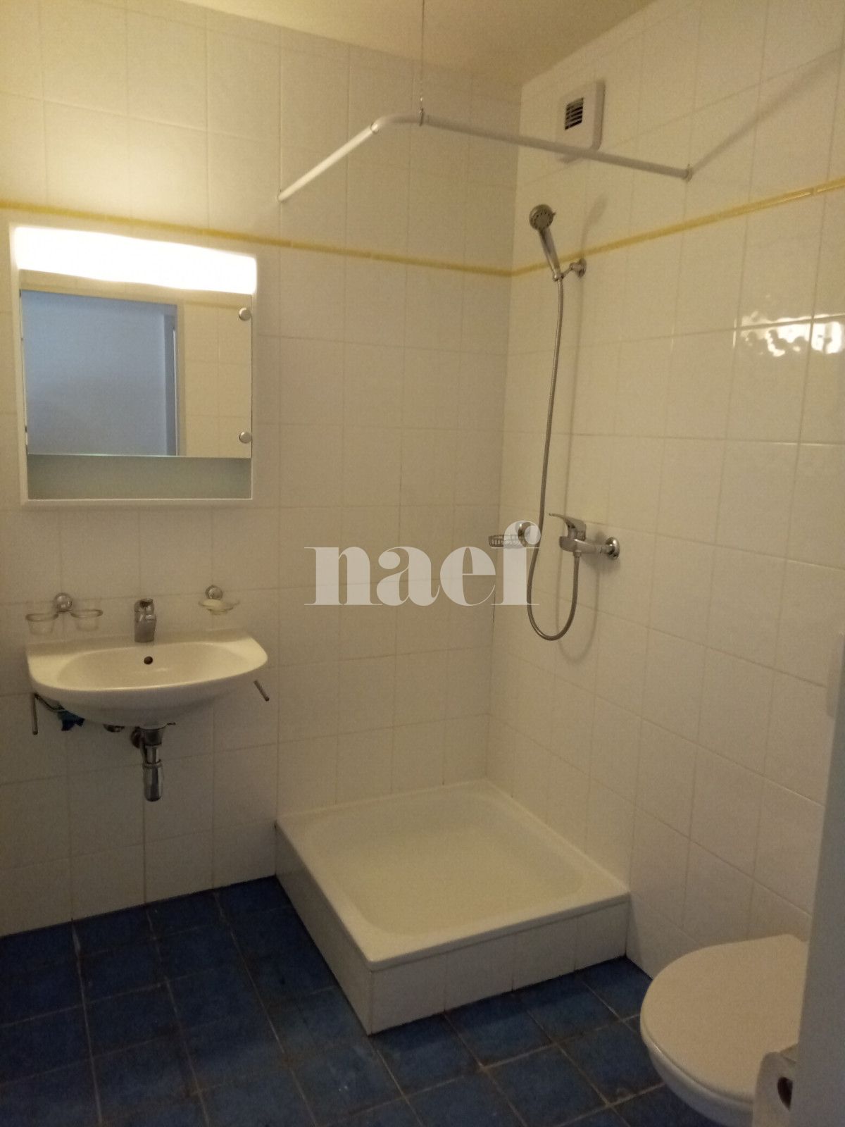 À louer : Appartement 6 Pieces Versoix - Ref : 210551.6061 | Naef Immobilier