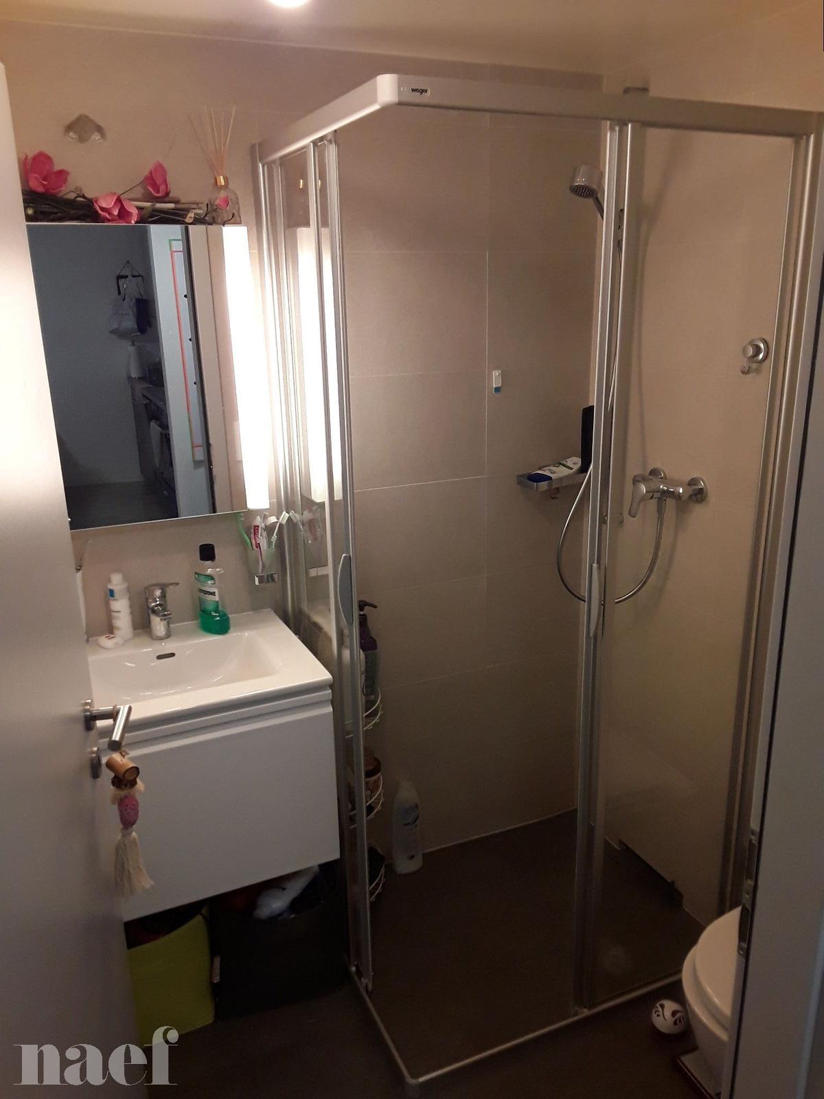 À louer : Appartement 2.5 Pieces Cartigny - Ref : 210847.1004 | Naef Immobilier