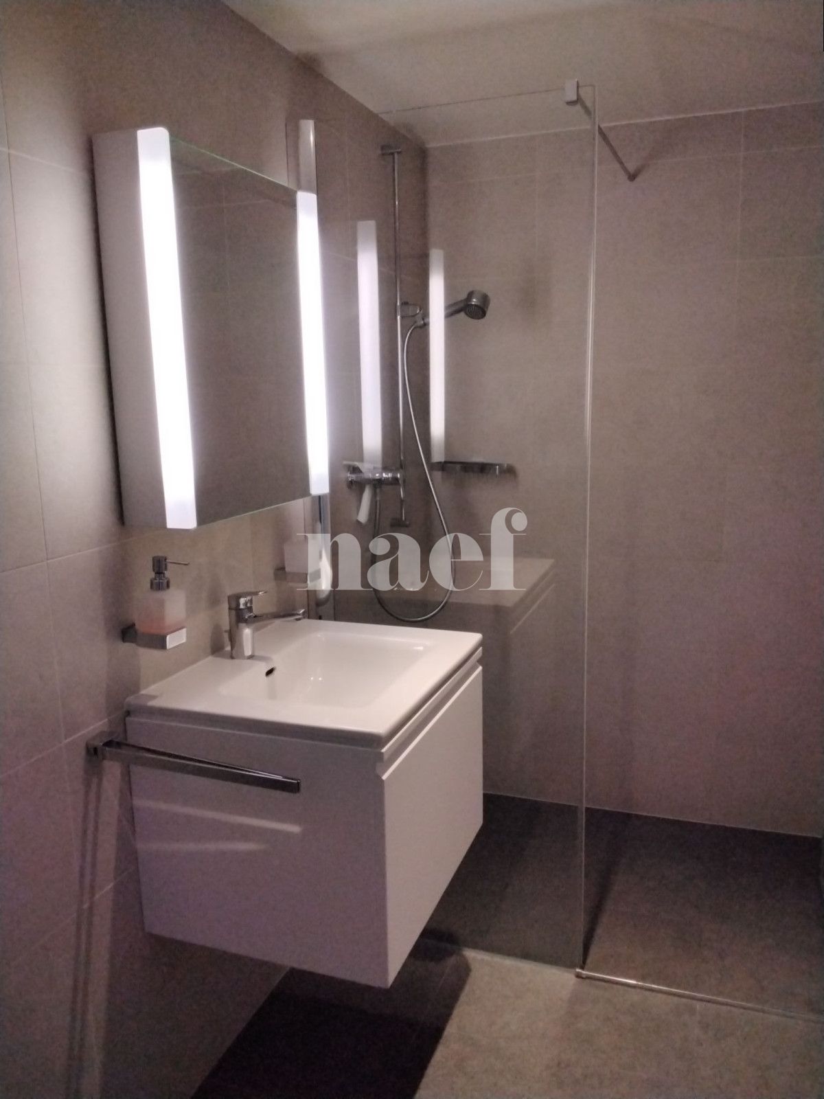 À louer : Appartement 6 Pieces Cartigny - Ref : 210847.2002 | Naef Immobilier