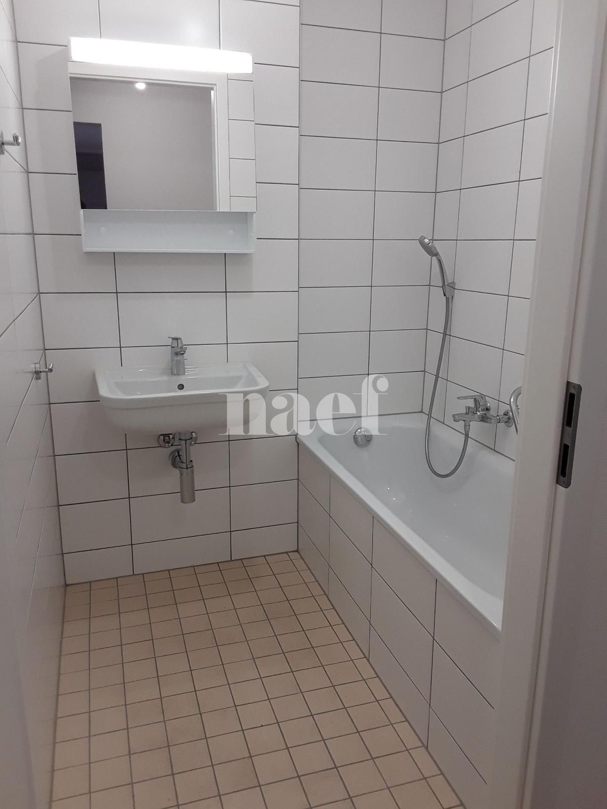 À louer : Appartement 3.5 Pieces Satigny - Ref : 210859.2002 | Naef Immobilier