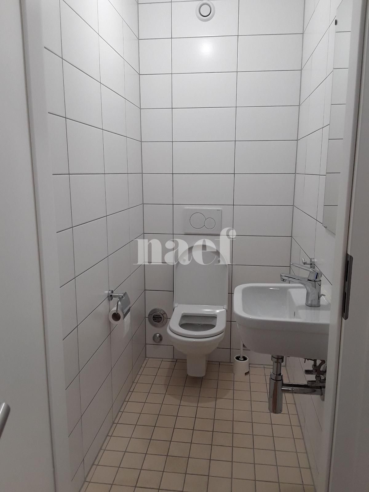 À louer : Appartement 3.5 Pieces Satigny - Ref : 210859.2002 | Naef Immobilier