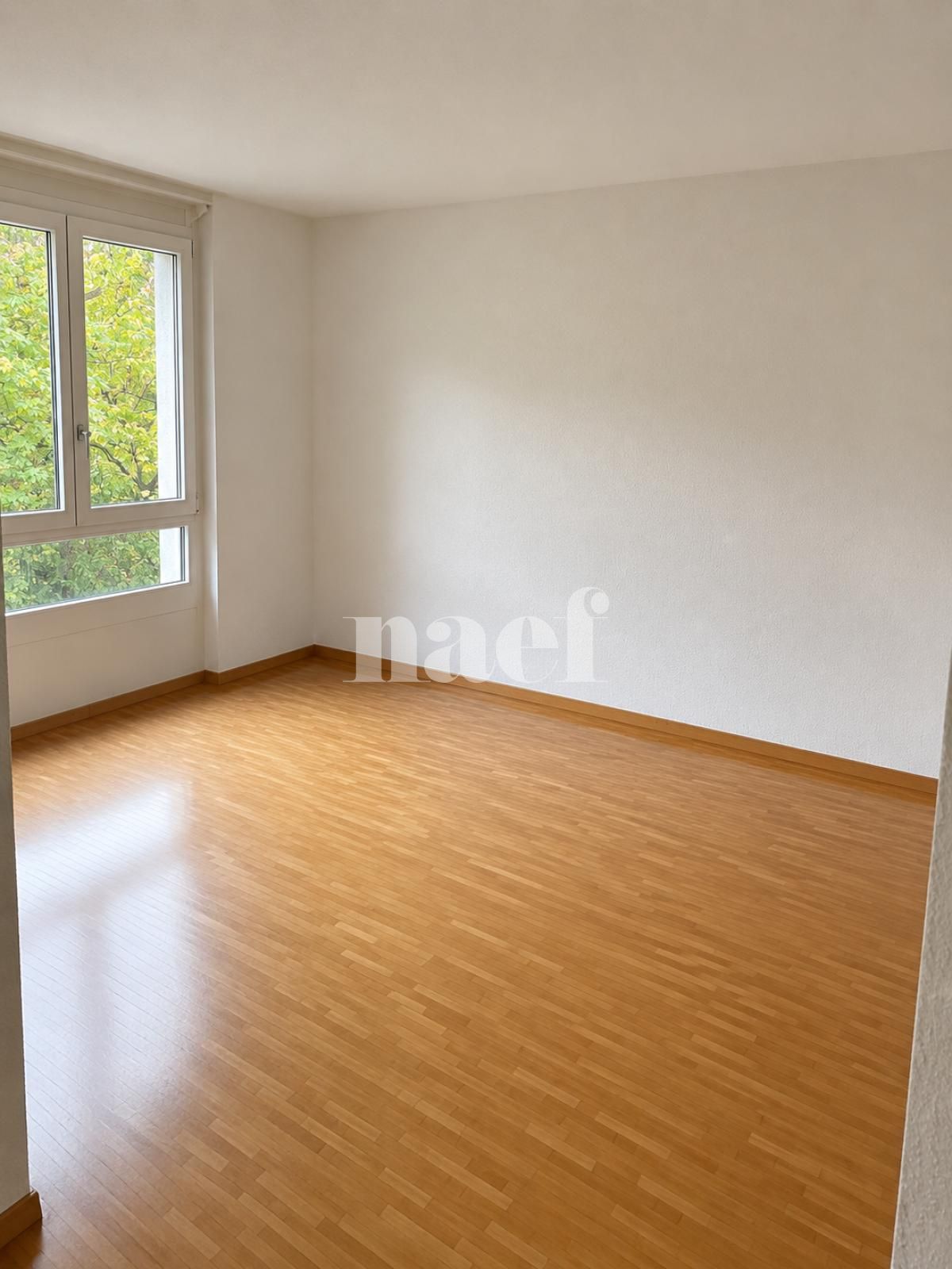À louer : Appartement 6.5 Pieces Versoix - Ref : 211011.3132 | Naef Immobilier