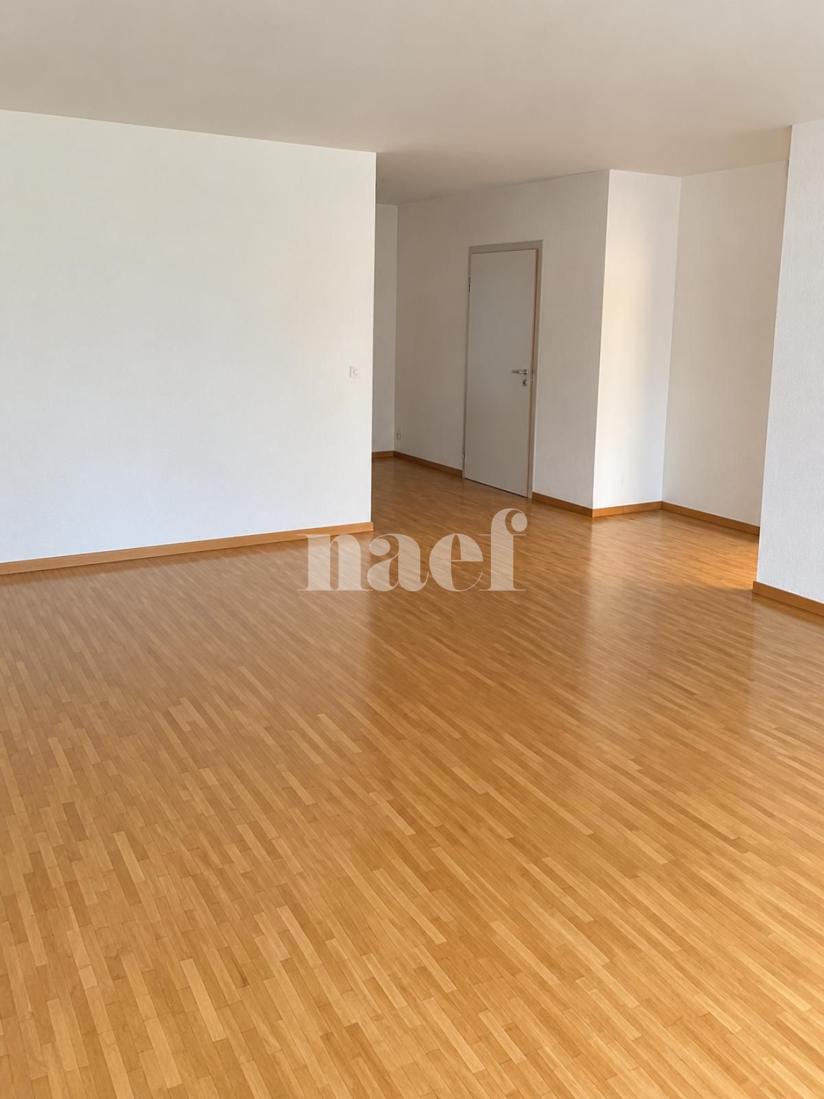 À louer : Appartement 6.5 Pieces Versoix - Ref : 211011.3132 | Naef Immobilier