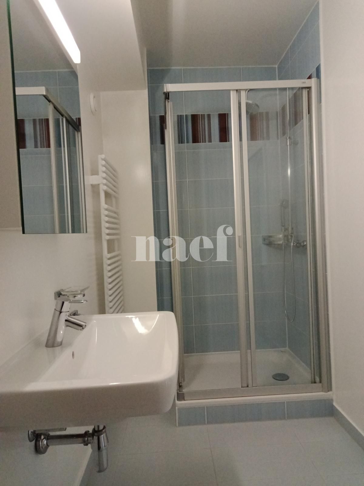À louer : Appartement 6 Pieces Versoix - Ref : 211030.2001 | Naef Immobilier