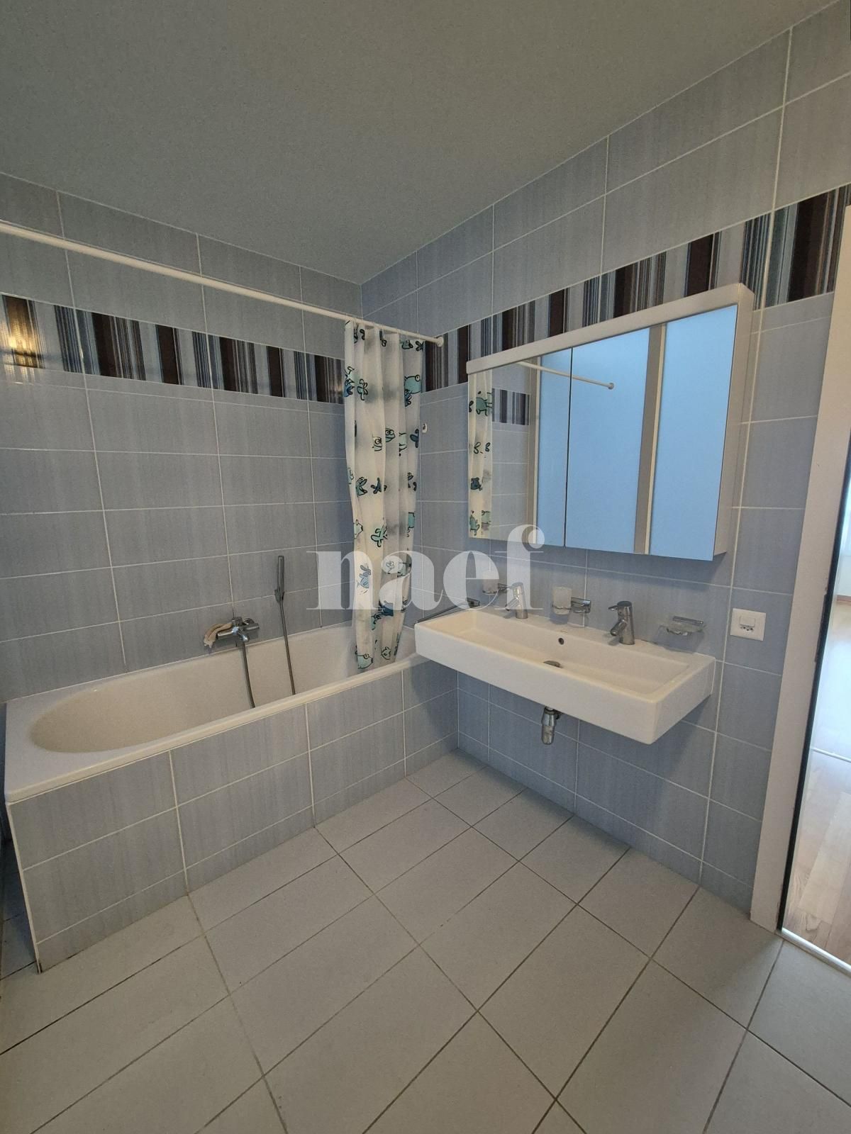 À louer : Appartement 6 Pieces Versoix - Ref : 211030.2001 | Naef Immobilier