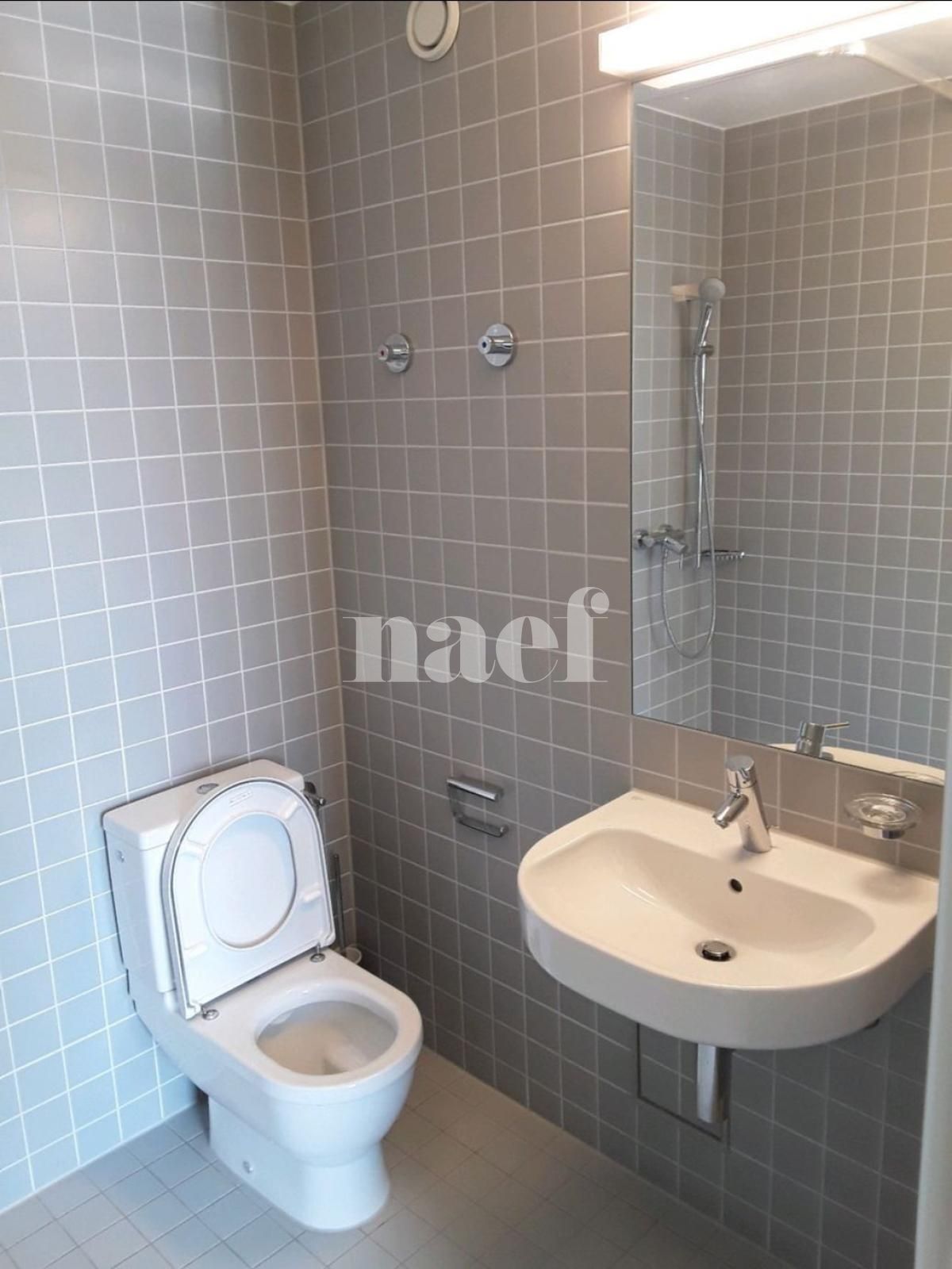 À louer : Appartement 3 Pieces Genève - Ref : 211031.4043 | Naef Immobilier