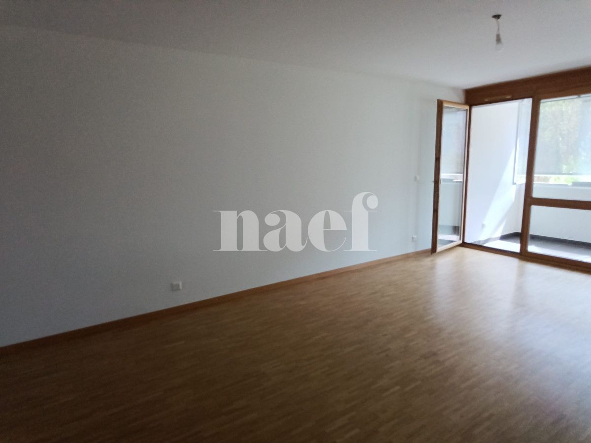 À louer : Appartement 5 Pieces Le Grand-Saconnex - Ref : 211037.1001 | Naef Immobilier