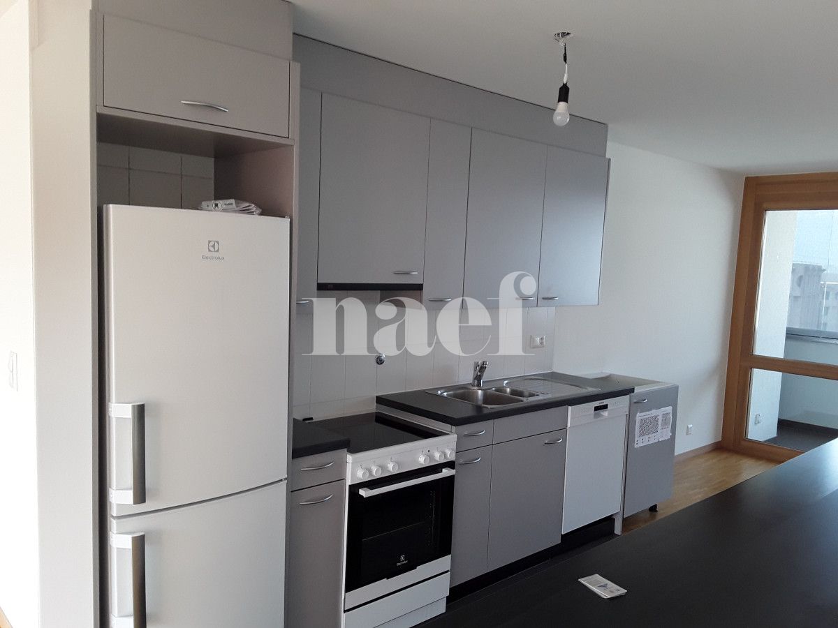 À louer : Appartement 5 Pieces Le Grand-Saconnex - Ref : 211037.4001 | Naef Immobilier