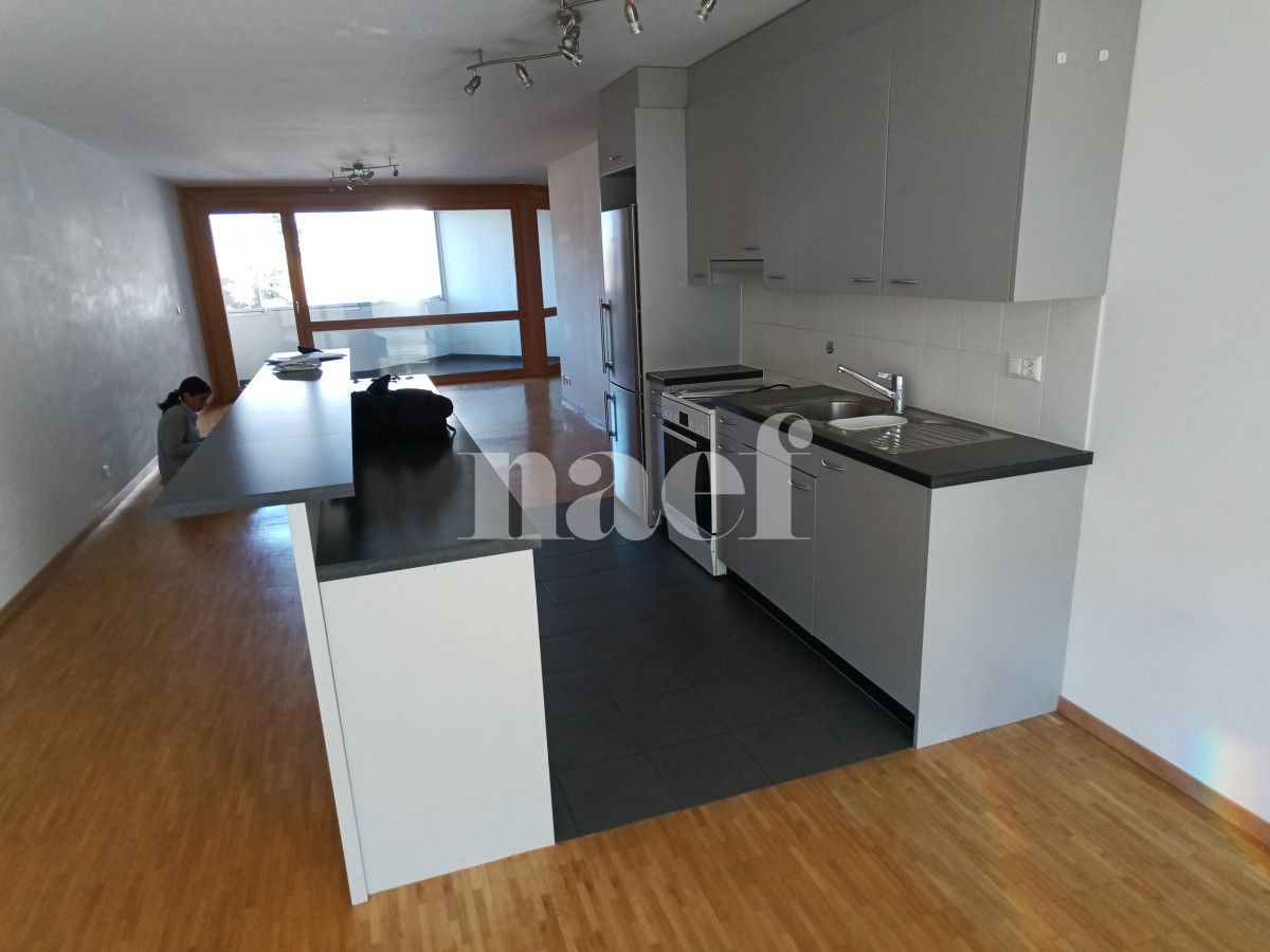À louer : Appartement 5 Pieces Le Grand-Saconnex - Ref : 211038.1003 | Naef Immobilier