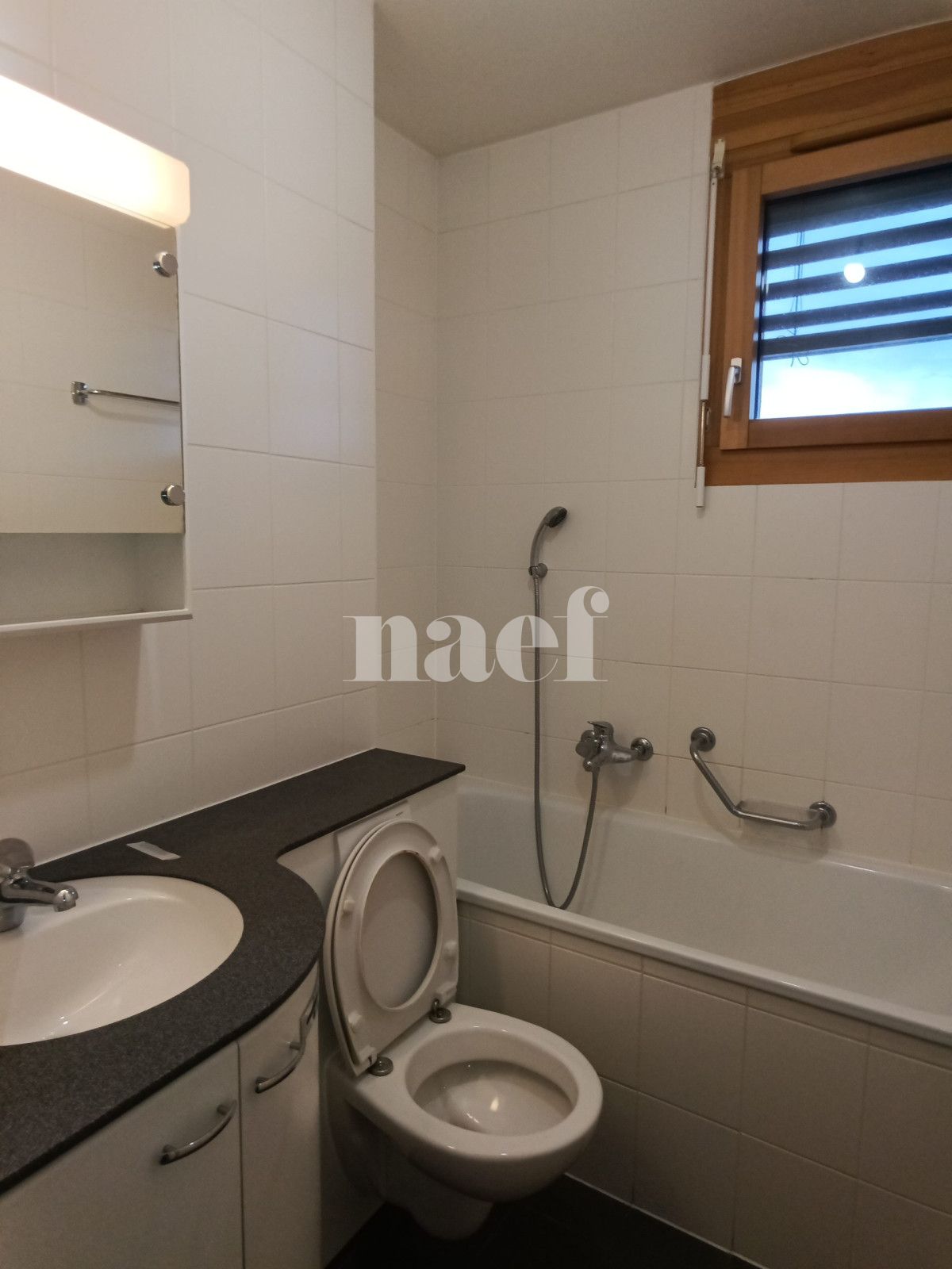 À louer : Appartement 4 Pieces Le Grand-Saconnex - Ref : 211038.4002 | Naef Immobilier
