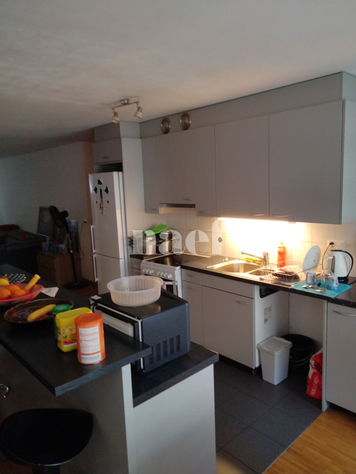 À louer : Appartement 5 Pieces Le Grand-Saconnex - Ref : 211039.1 | Naef Immobilier
