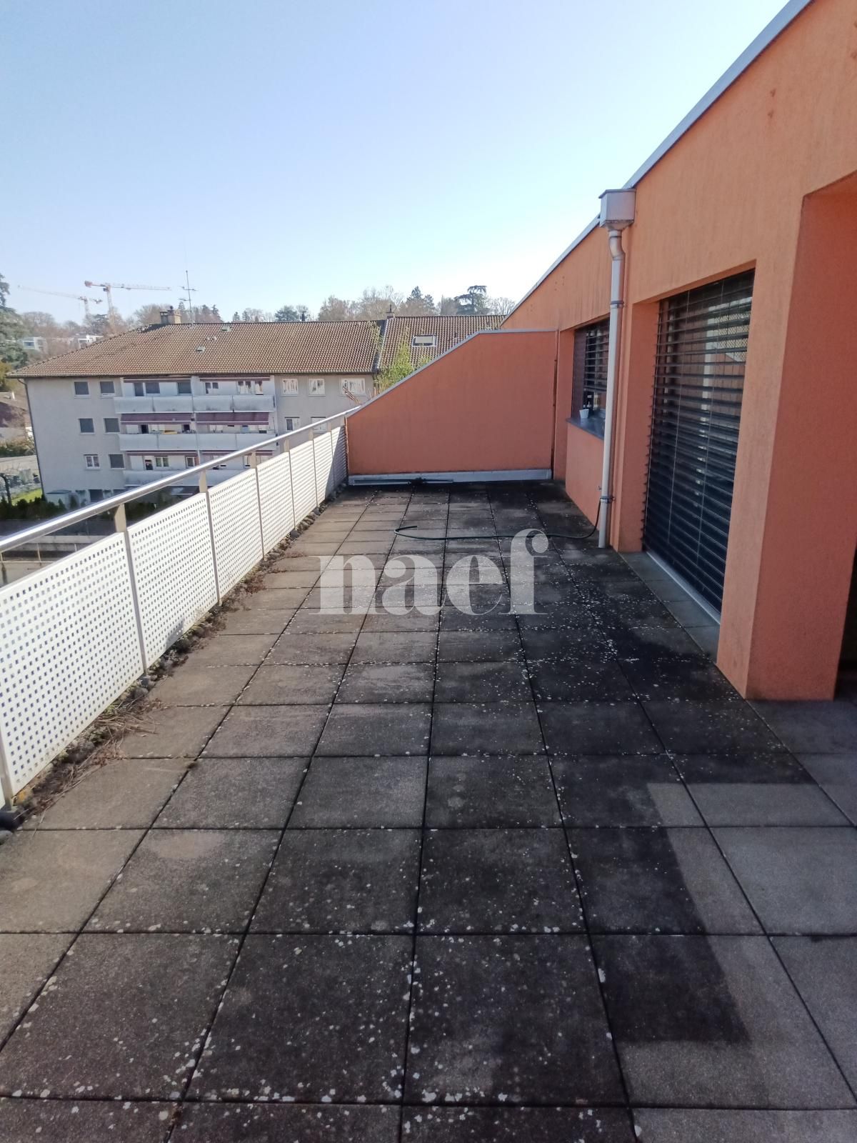 À louer : Appartement 7 Pieces Le Grand-Saconnex - Ref : 211039.4001 | Naef Immobilier