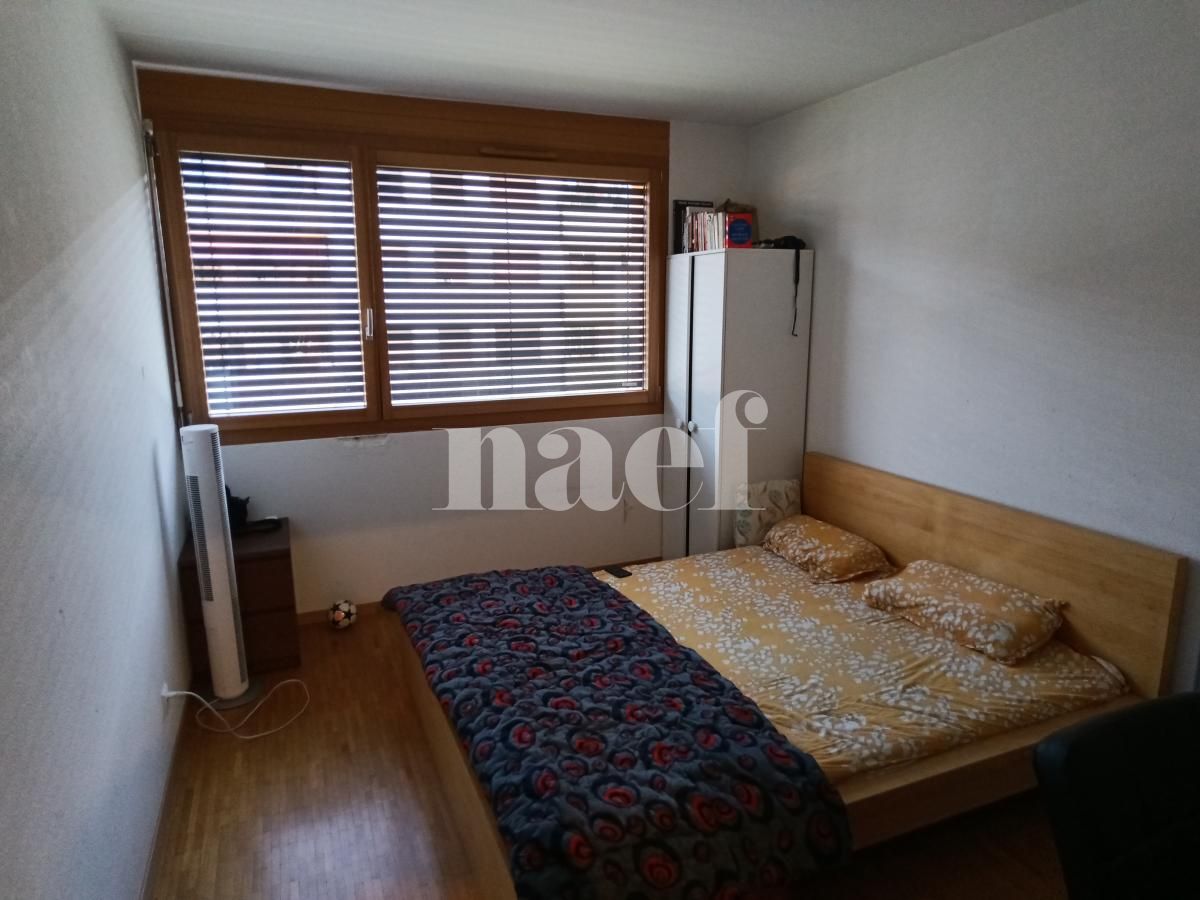 À louer : Appartement 4 Pieces Le Grand-Saconnex - Ref : 211040.2002 | Naef Immobilier