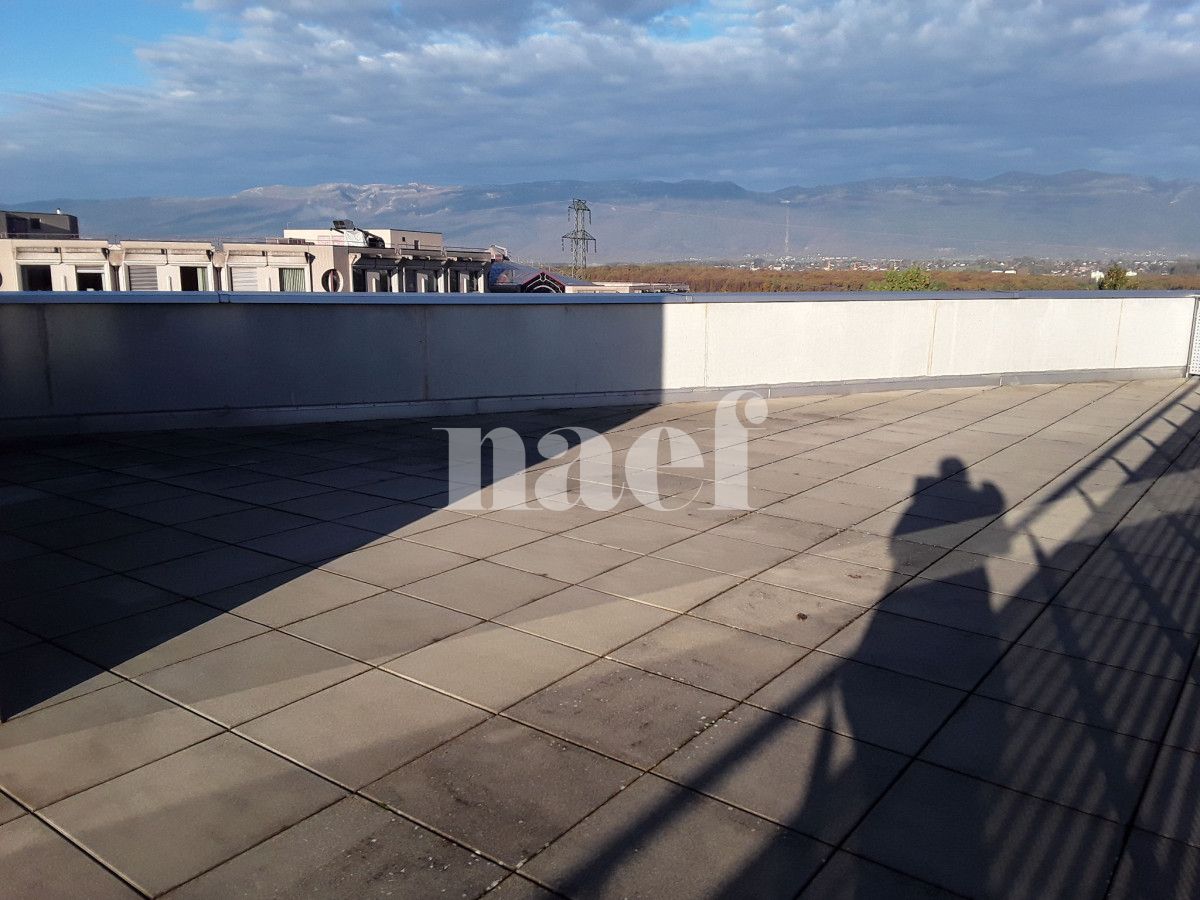 À louer : Appartement 5 Pieces Le Grand-Saconnex - Ref : 211040.4002 | Naef Immobilier