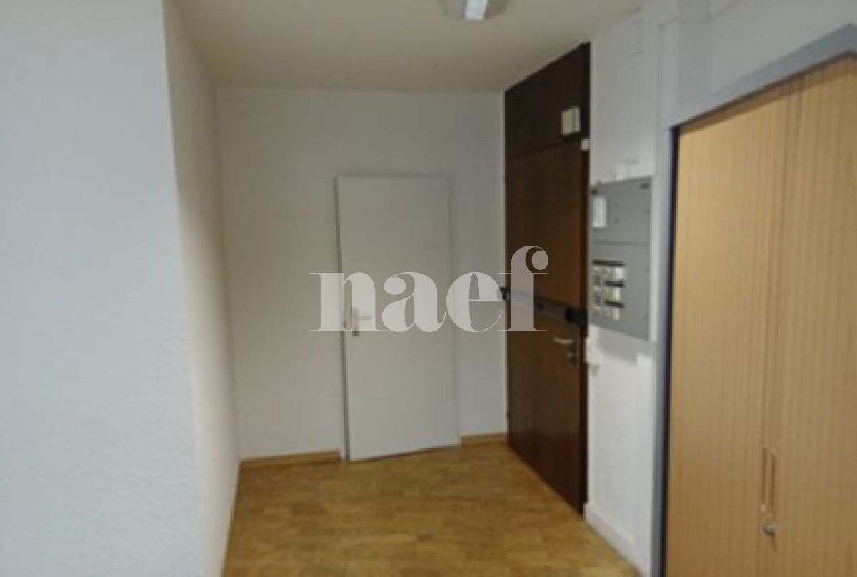 À louer : Surface Commerciale Bureau Genève - Ref : 211100.1001 | Naef Immobilier