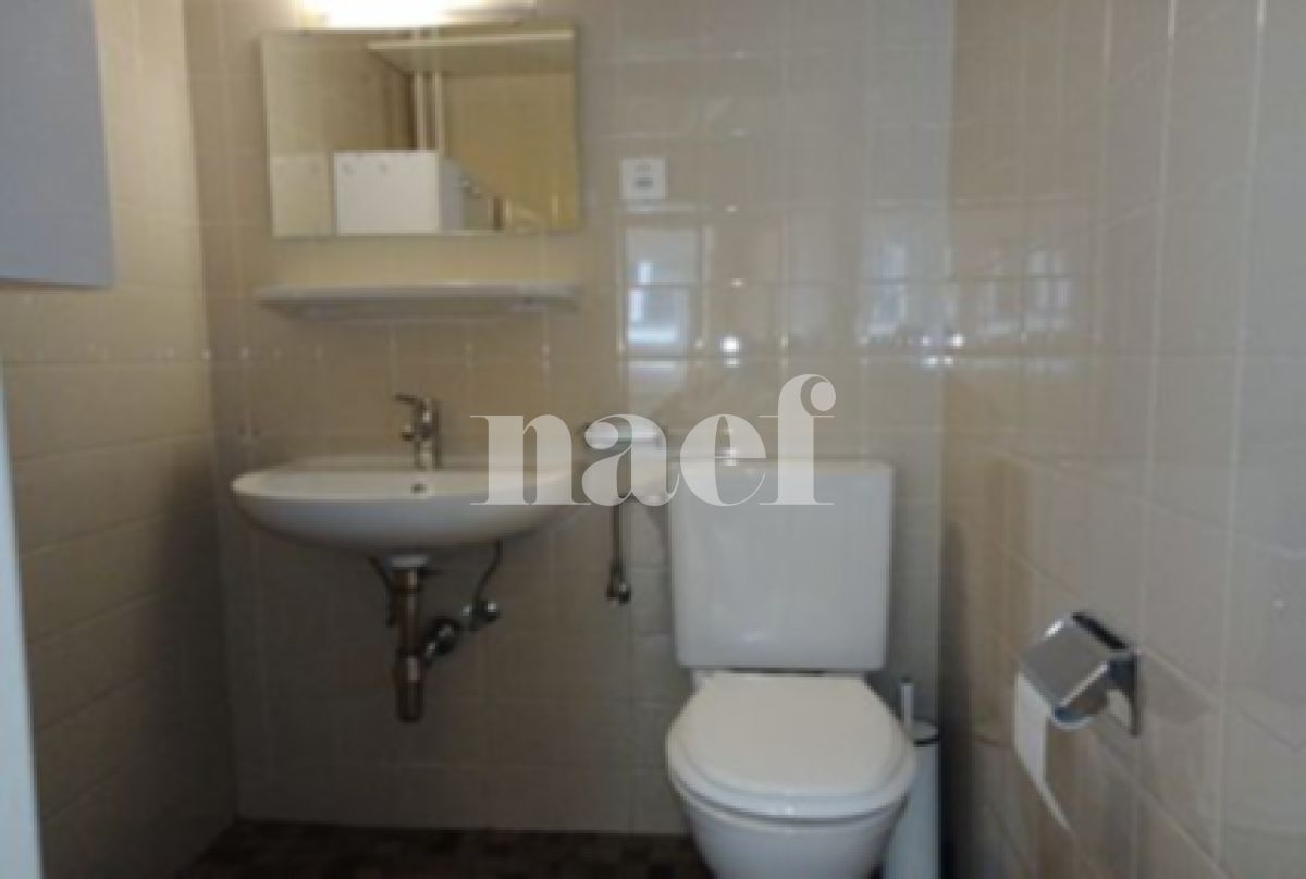 À louer : Surface Commerciale Bureau Genève - Ref : 211100.1001 | Naef Immobilier