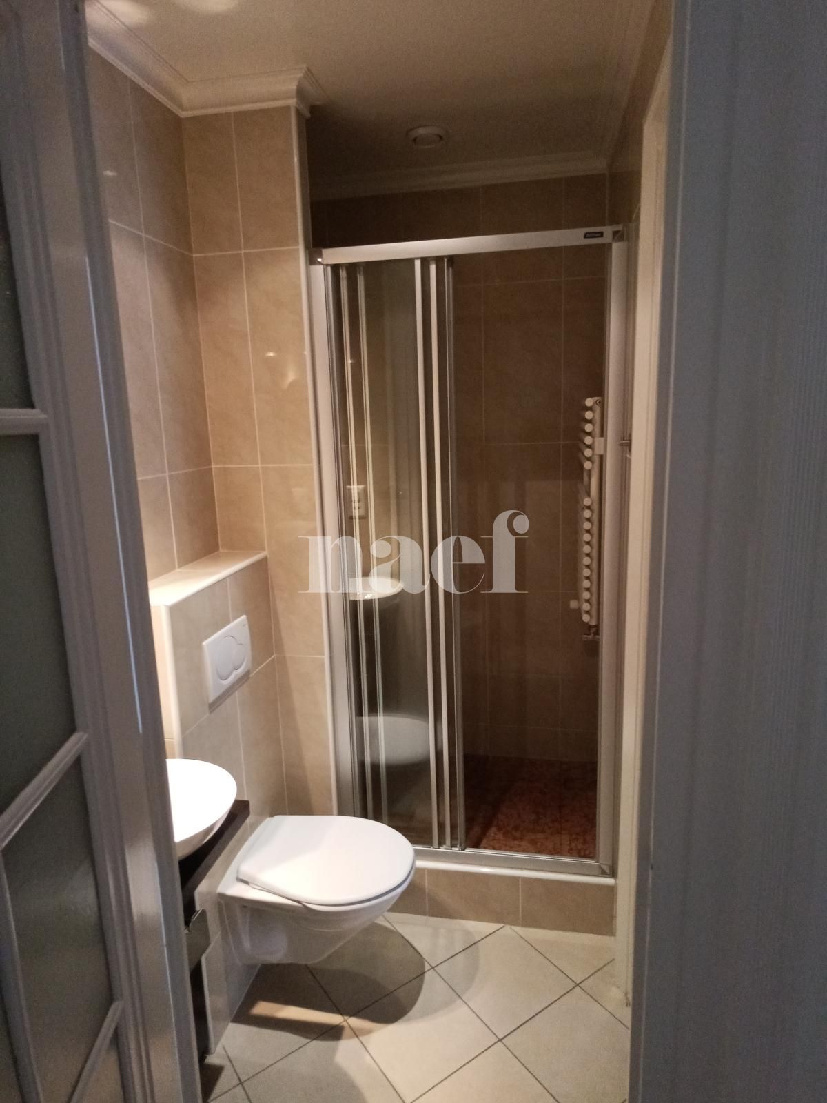 À louer : Appartement 5.5 Pieces Genève - Ref : 211101.3001 | Naef Immobilier