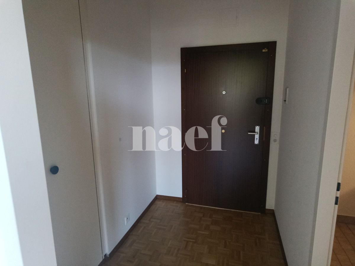 À louer : Appartement 2 Pieces Petit-Lancy - Ref : 211105.5002 | Naef Immobilier