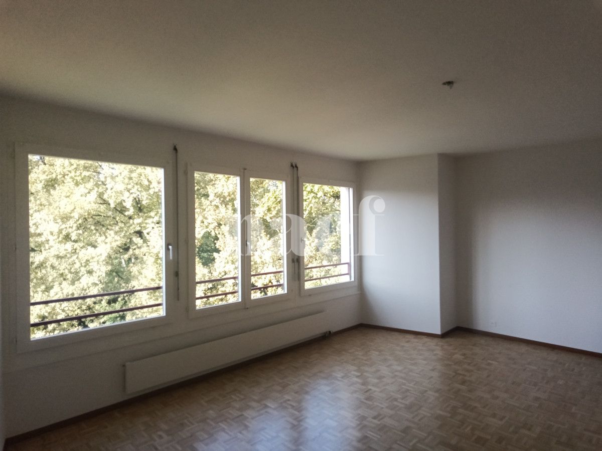 À louer : Appartement 2 Pieces Petit-Lancy - Ref : 211105.5002 | Naef Immobilier