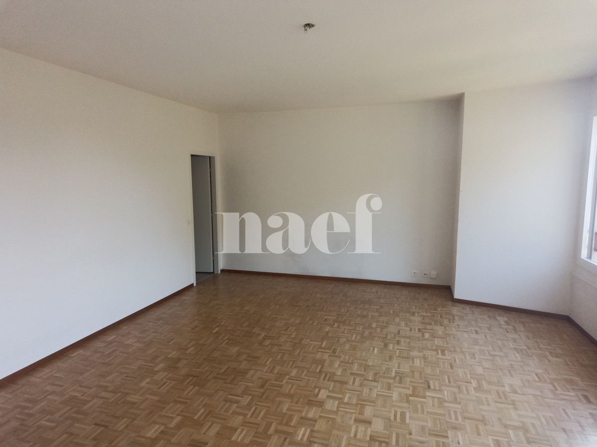 À louer : Appartement 2 Pieces Petit-Lancy - Ref : 211105.5002 | Naef Immobilier