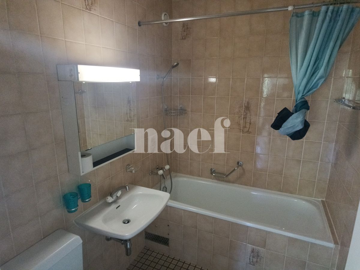 À louer : Appartement 2 Pieces Petit-Lancy - Ref : 211105.5002 | Naef Immobilier