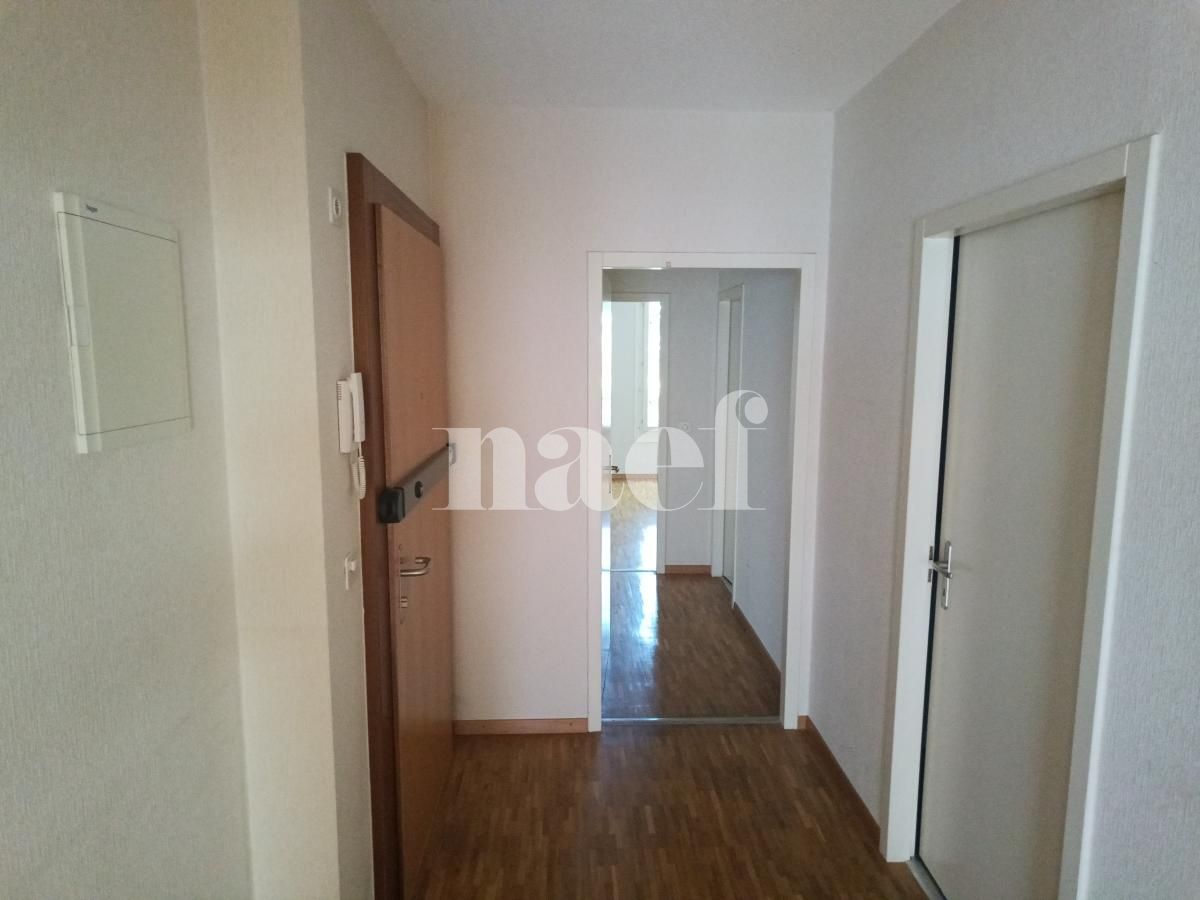 À louer : Appartement 4 Pieces Petit-Lancy - Ref : 211107.1002 | Naef Immobilier