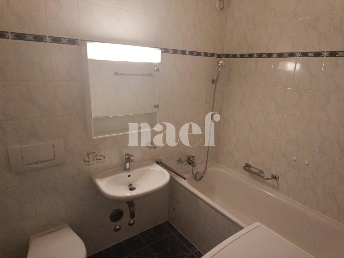 À louer : Appartement 4 Pieces Petit-Lancy - Ref : 211107.1002 | Naef Immobilier