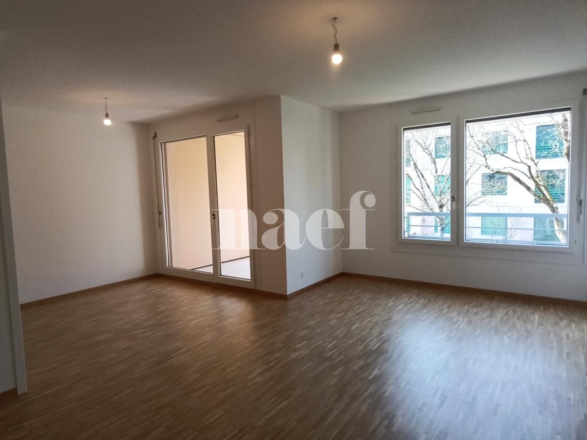 À louer : Appartement 4 Pieces Petit-Lancy - Ref : 211110.2002 | Naef Immobilier