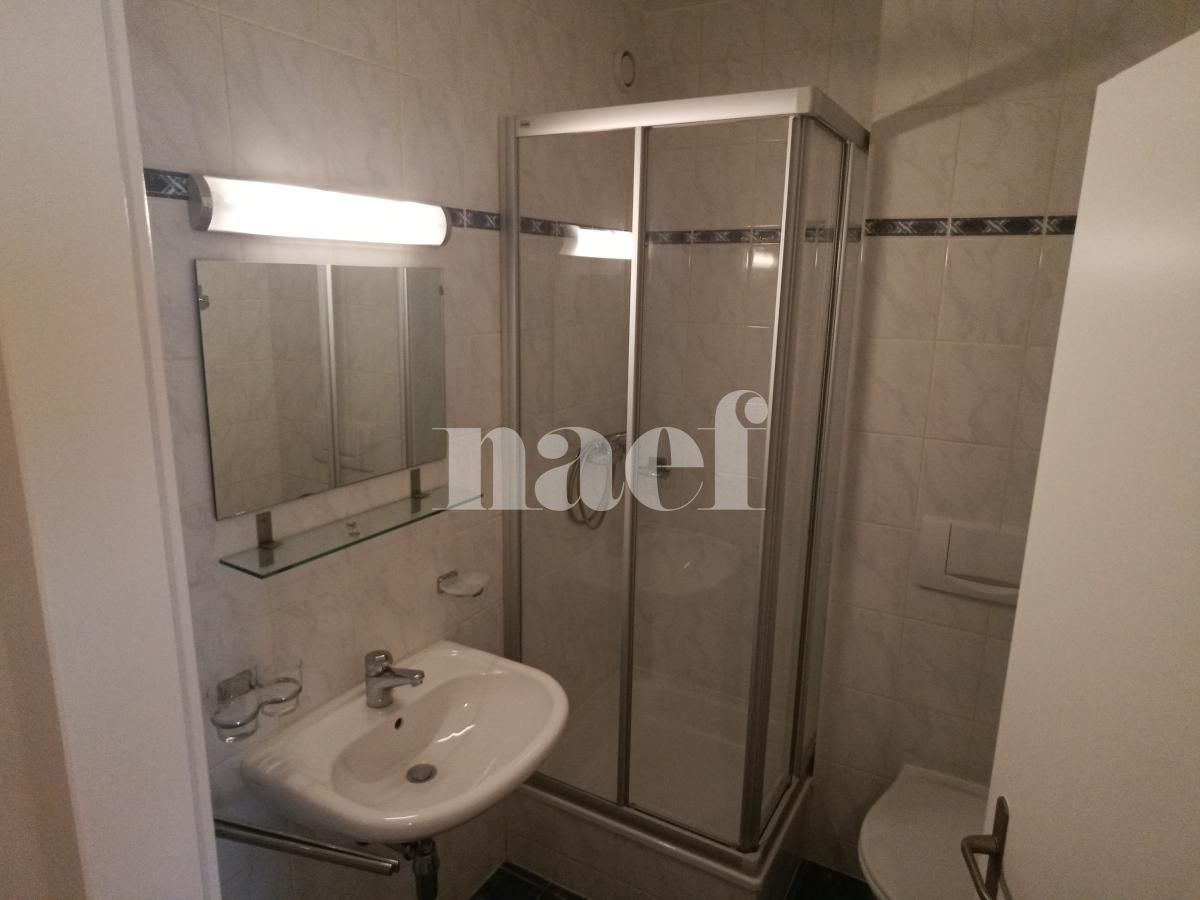 À louer : Appartement 4 Pieces Petit-Lancy - Ref : 211110.2002 | Naef Immobilier