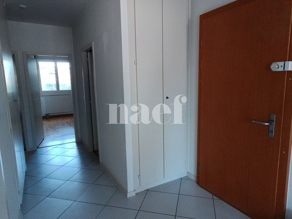 À louer : Appartement 4 Pieces Chêne-Bougeries - Ref : 211122.2022 | Naef Immobilier