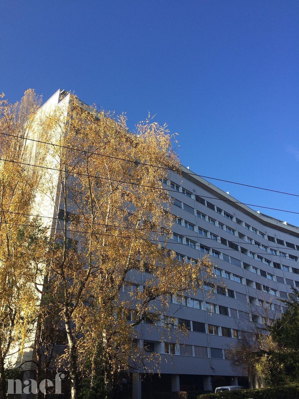 À louer : Appartement 4.5 Pieces Genève - Ref : 211123.3033 | Naef Immobilier