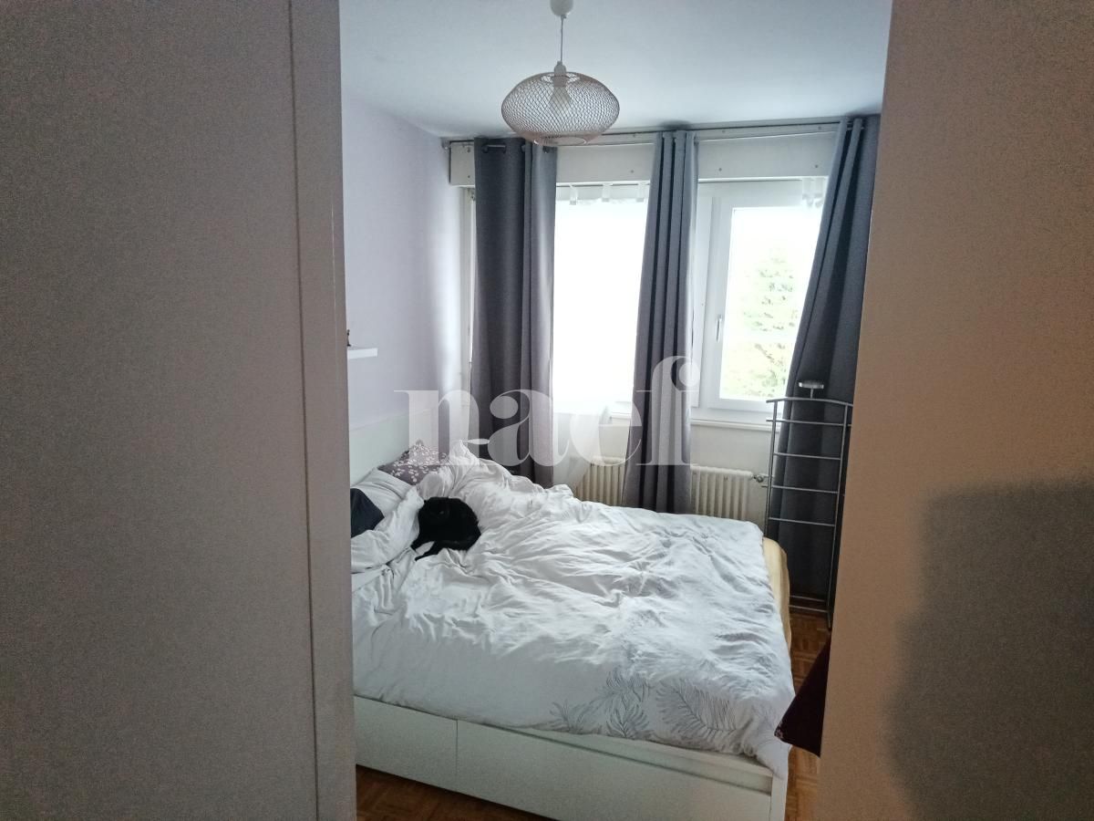 À louer : Appartement 4.5 Pieces Genève - Ref : 211123.3033 | Naef Immobilier