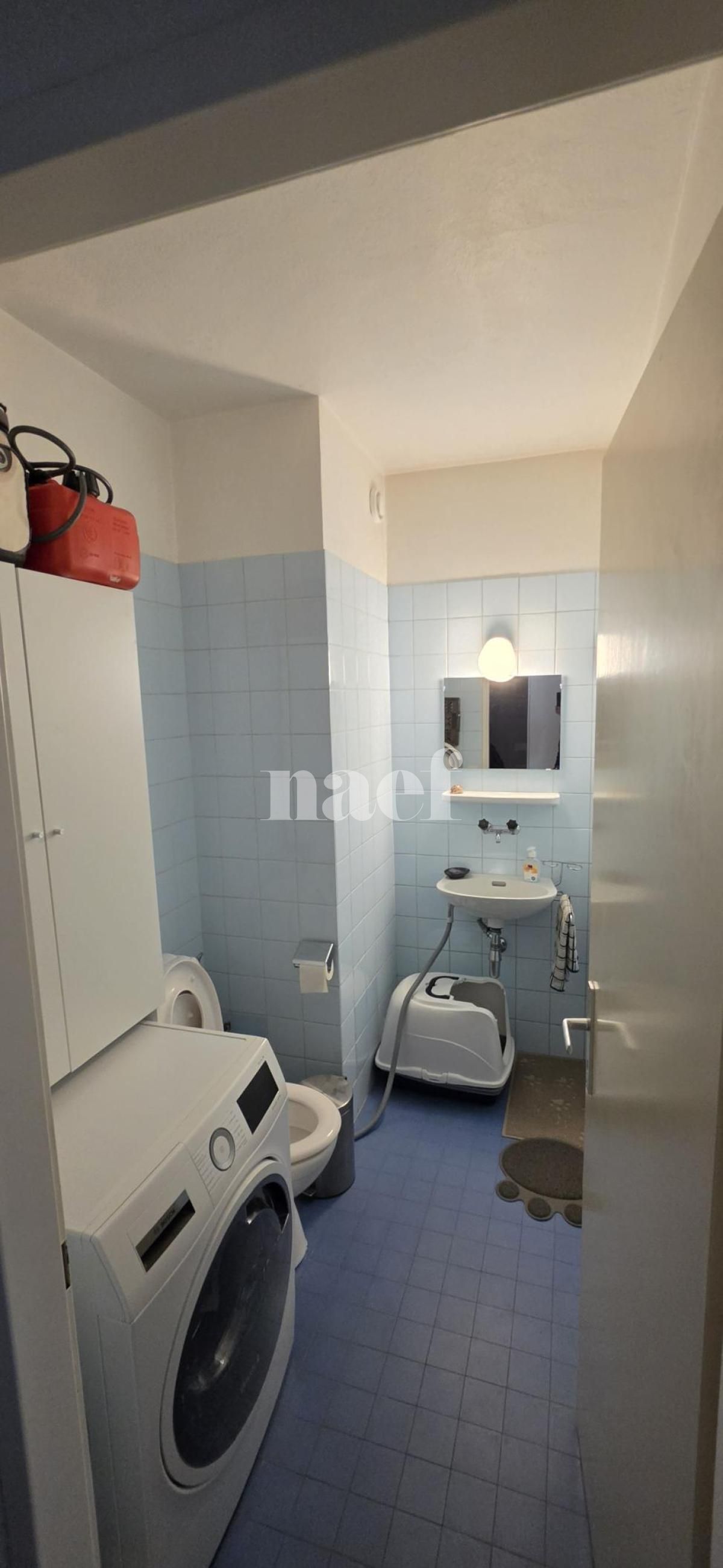 À louer : Appartement 4.5 Pieces Genève - Ref : 211123.3033 | Naef Immobilier