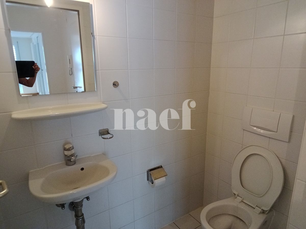 À louer : Appartement 5 Pieces Genève - Ref : 211124.2021 | Naef Immobilier