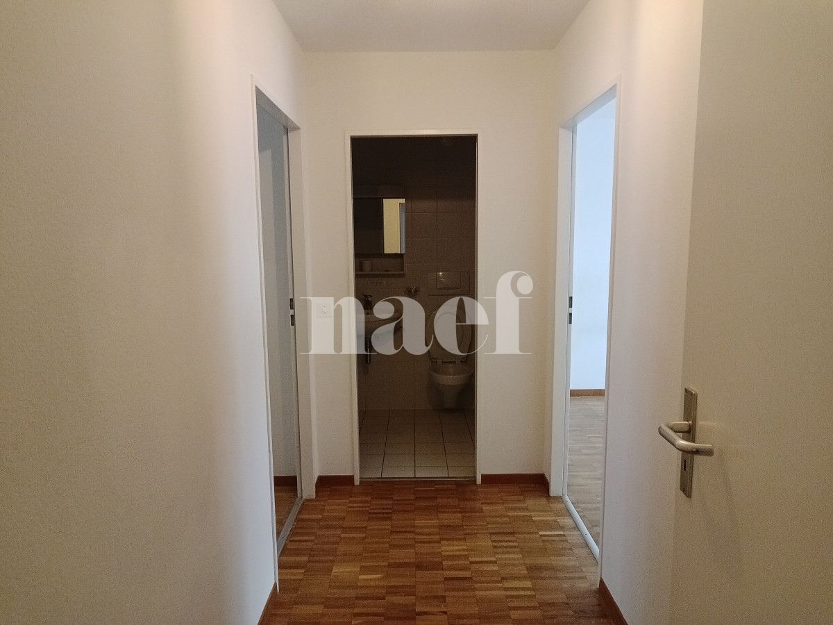 À louer : Appartement 5 Pieces Genève - Ref : 211124.2021 | Naef Immobilier