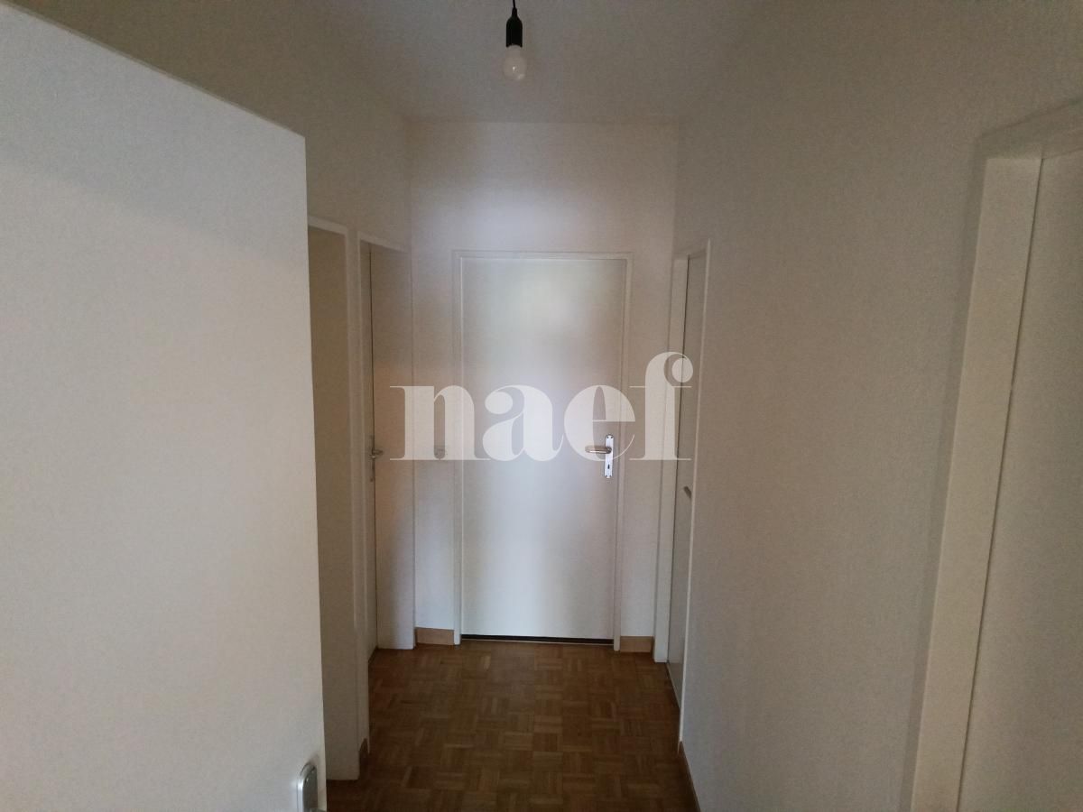 À louer : Appartement 6 Pieces Le Grand-Saconnex - Ref : 211130.1002 | Naef Immobilier