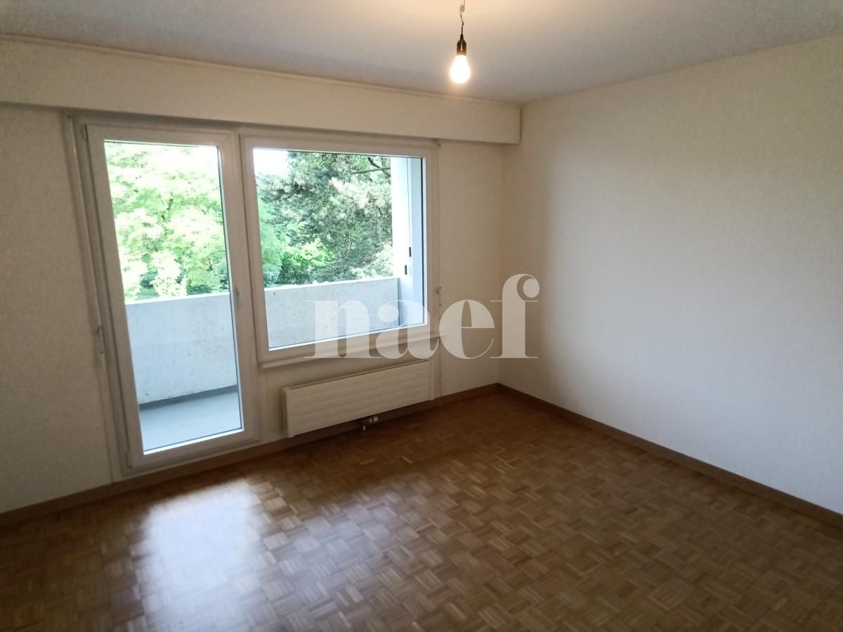 À louer : Appartement 6 Pieces Le Grand-Saconnex - Ref : 211130.1002 | Naef Immobilier