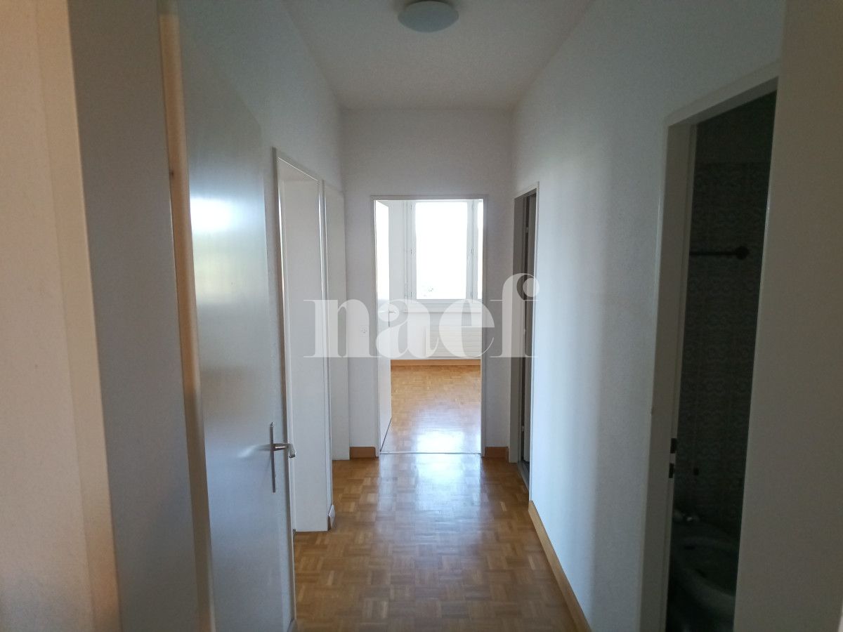 À louer : Appartement 6 Pieces Le Grand-Saconnex - Ref : 211130.7002 | Naef Immobilier