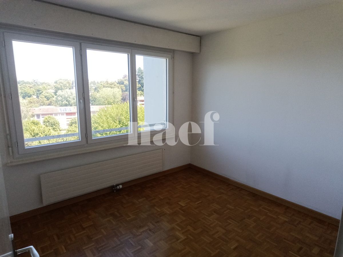 À louer : Appartement 6 Pieces Le Grand-Saconnex - Ref : 211130.7002 | Naef Immobilier