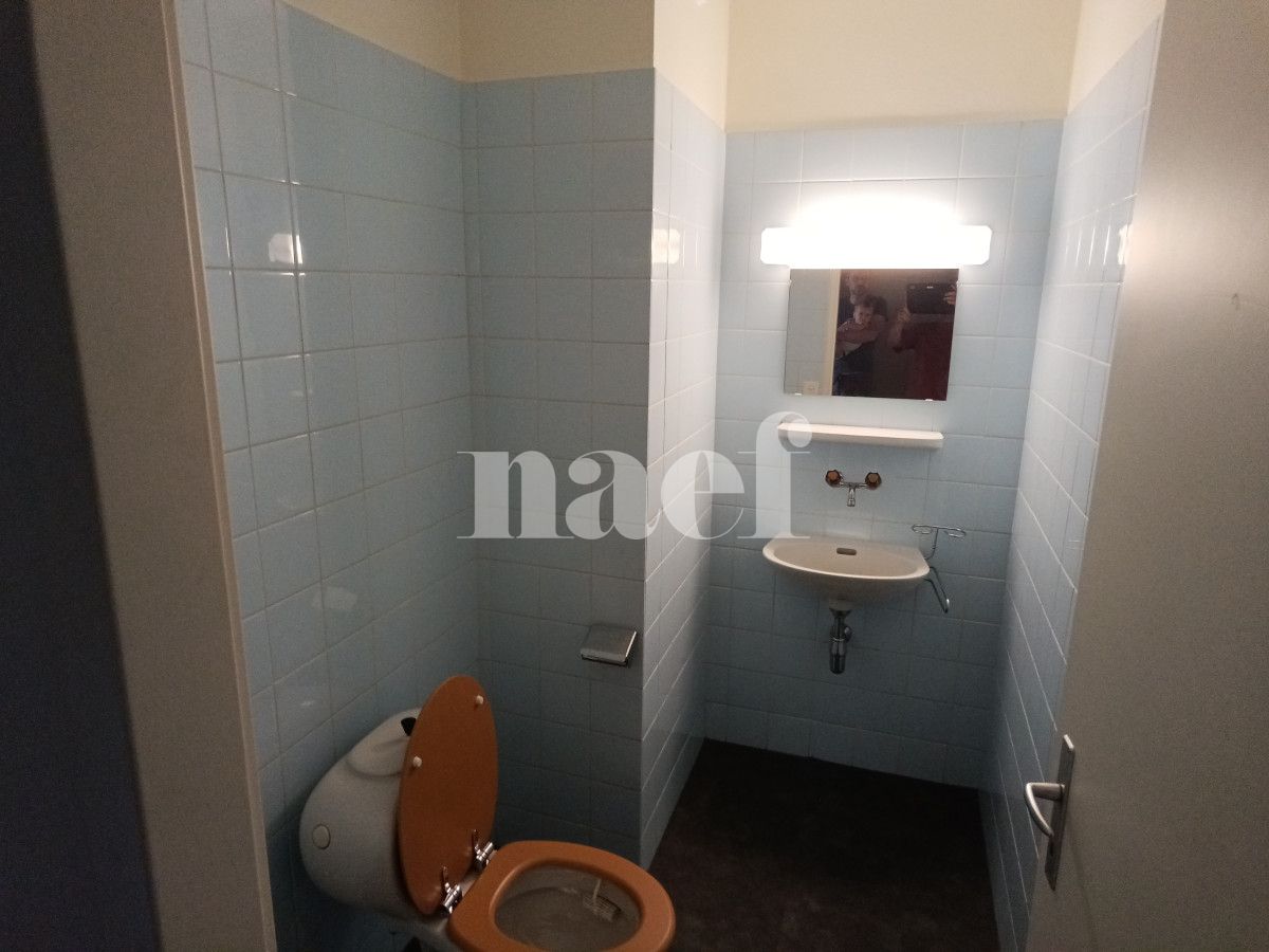 À louer : Appartement 4.5 Pieces Genève - Ref : 211131.7073 | Naef Immobilier