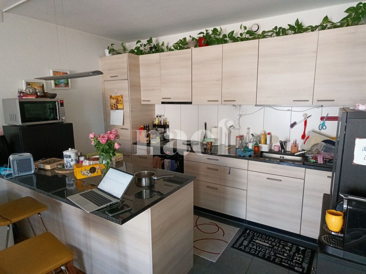 À louer : Appartement 5 Pieces Genève - Ref : 211132.7071 | Naef Immobilier