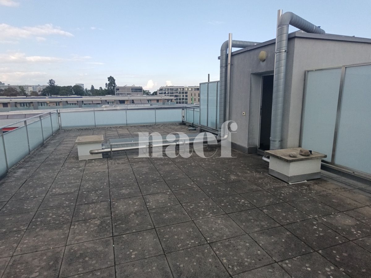 À louer : Appartement 5 Pieces Genève - Ref : 211132.7071 | Naef Immobilier