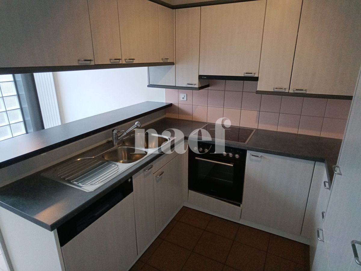 À louer : Appartement 4 Pieces Carouge Ge - Ref : 211142.3001 | Naef Immobilier