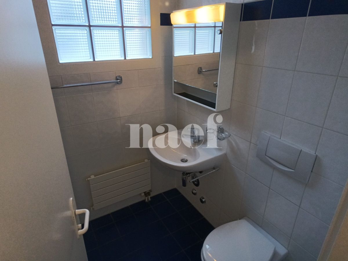 À louer : Appartement 4 Pieces Carouge Ge - Ref : 211142.3001 | Naef Immobilier