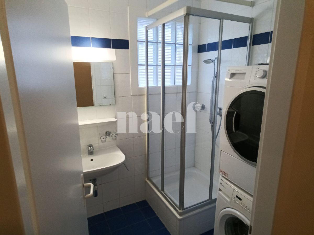 À louer : Appartement 4 Pieces Carouge Ge - Ref : 211142.3001 | Naef Immobilier