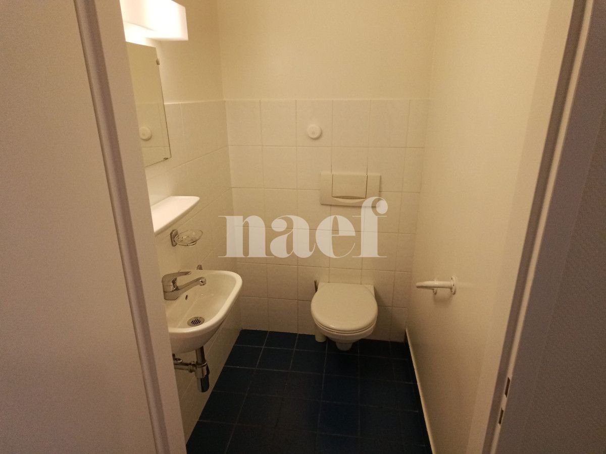 À louer : Appartement 4 Pieces Carouge Ge - Ref : 211142.3001 | Naef Immobilier